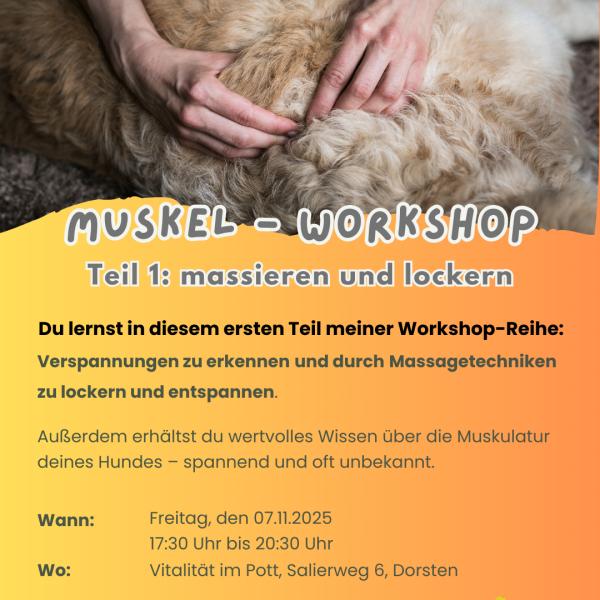 Muskelworkshop1