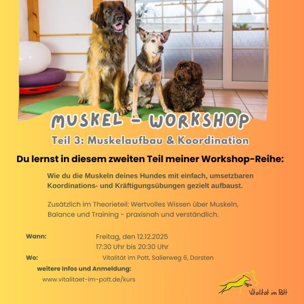 Muskelworkshop3