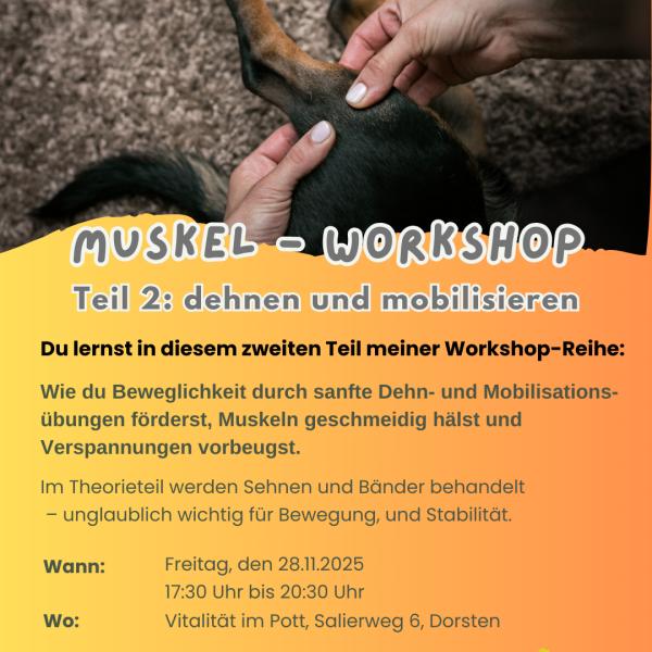 Muskelworkshop2