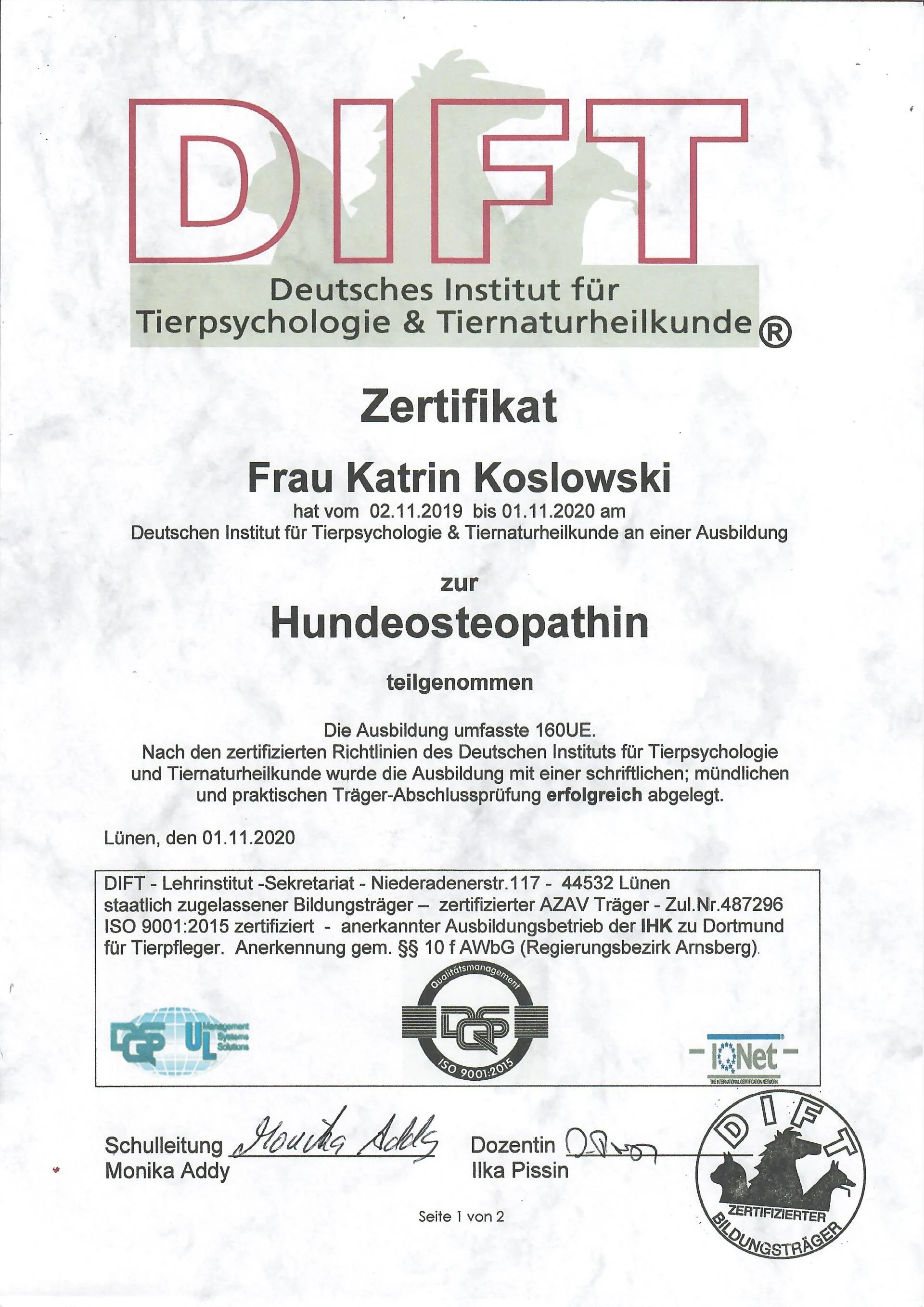 Osteopathie und Physiotherapie Hunde Behandlung Dorsten Bild Osteo Hund