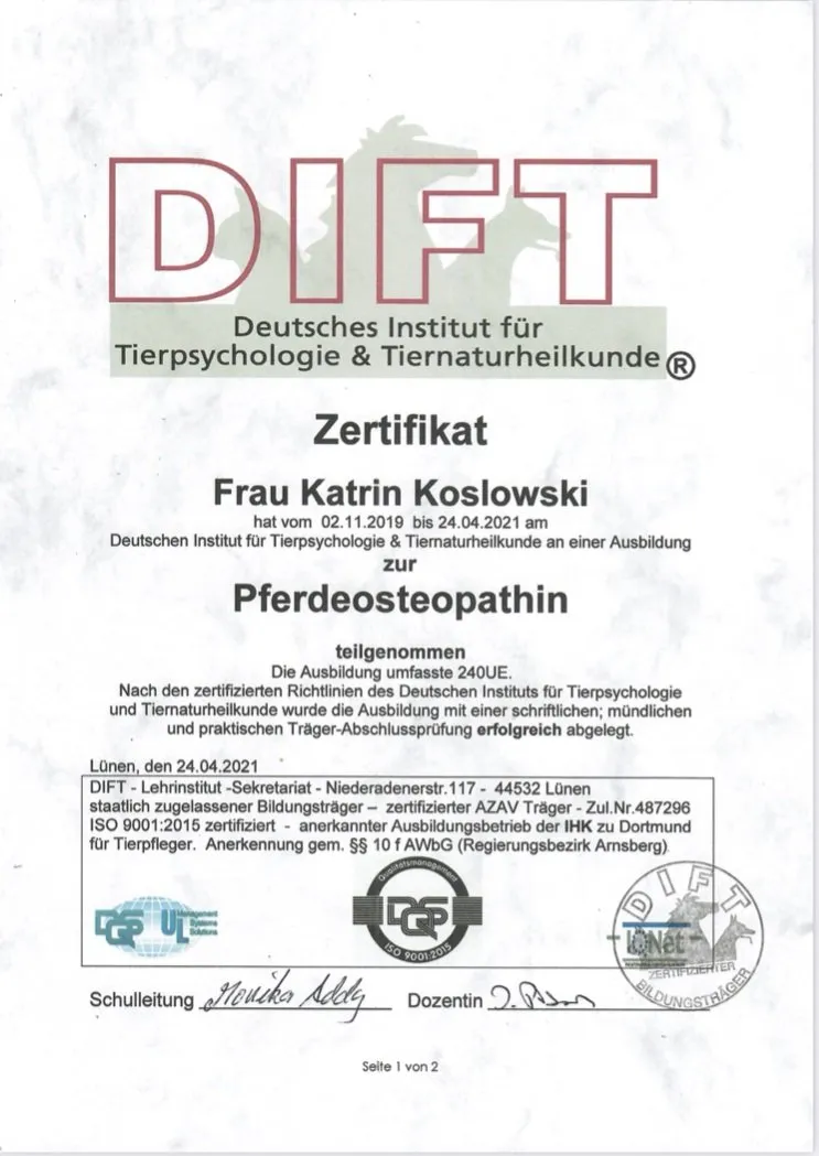 Osteopathie und Physiotherapie Hunde Behandlung Dorsten Bild Osteo Pferd