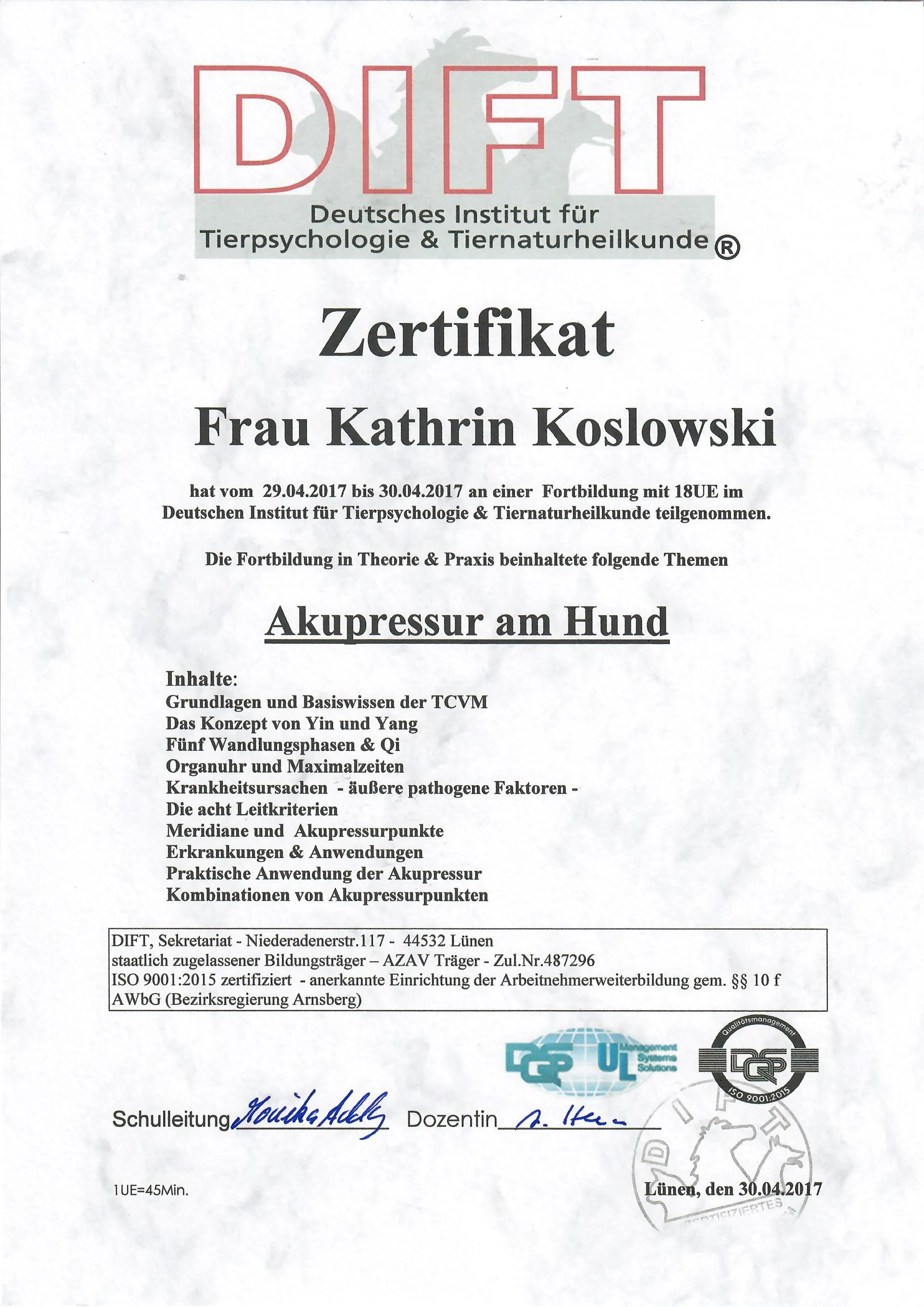 Osteopathie und Physiotherapie Hunde Behandlung Dorsten Bild Akupressur