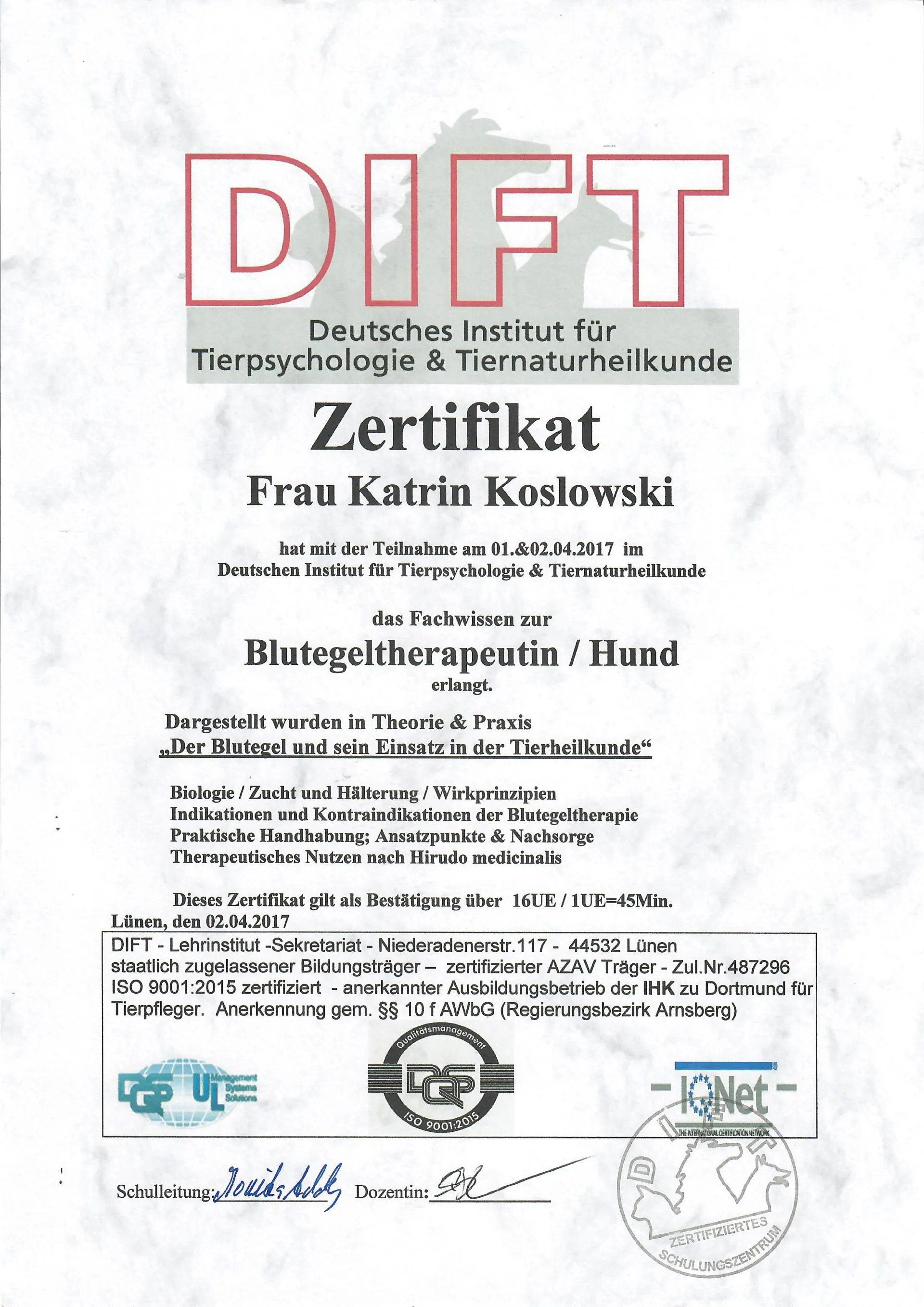 Osteopathie und Physiotherapie Hunde Behandlung Dorsten Bild Blutegel