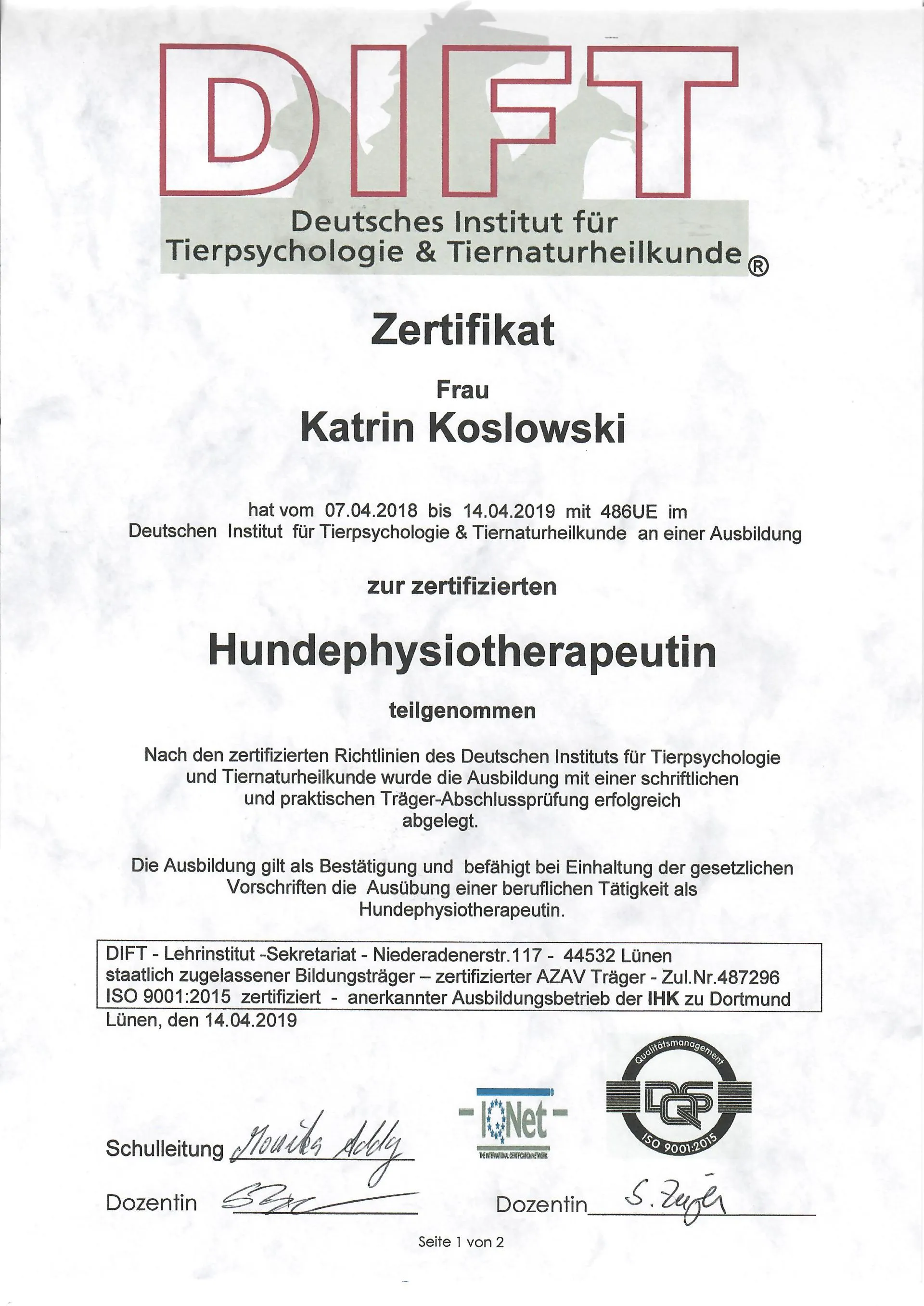 Osteopathie und Physiotherapie Hunde Behandlung Dorsten Bild Zert Physio