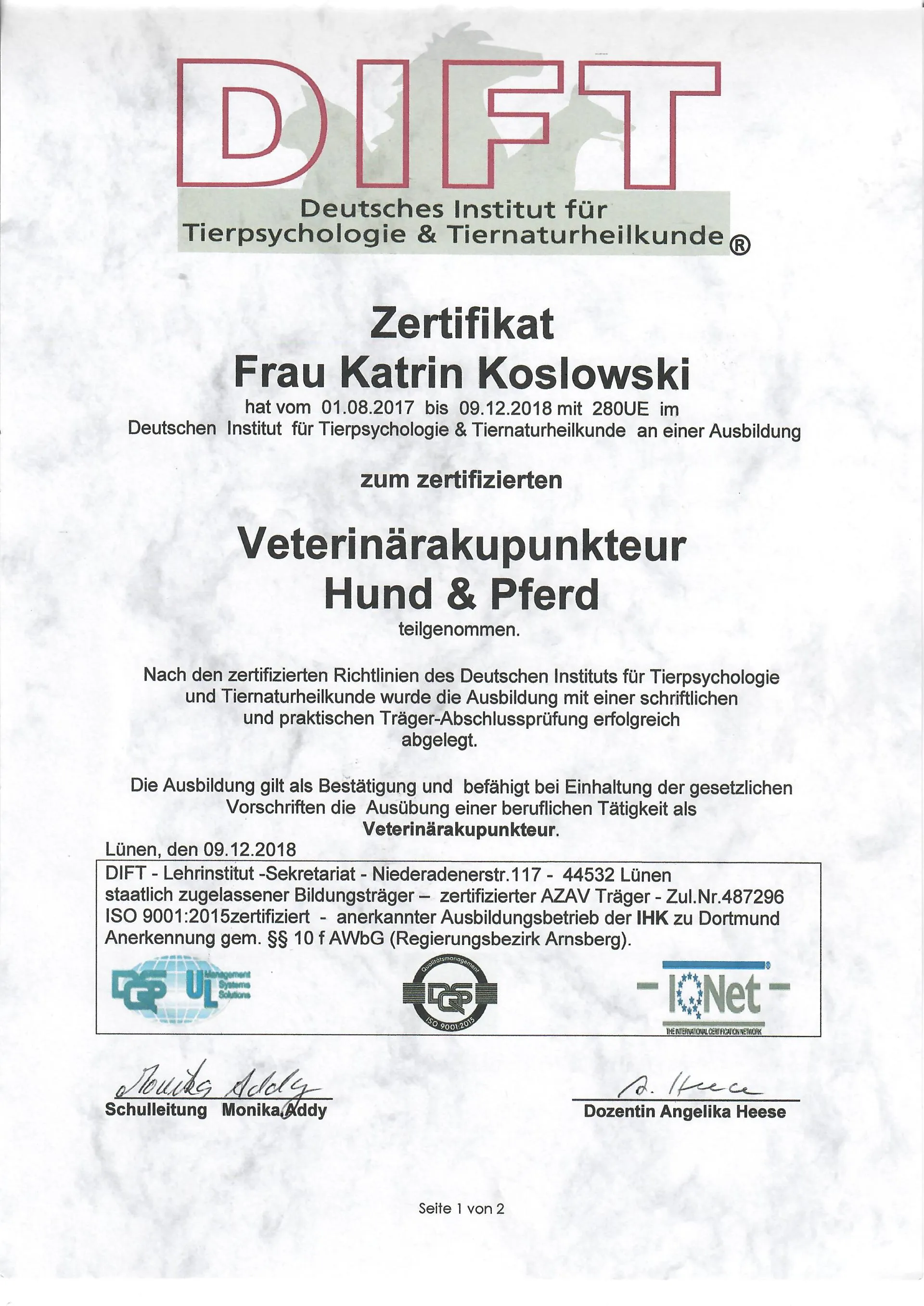 Osteopathie und Physiotherapie Hunde Behandlung Dorsten Bild Akku