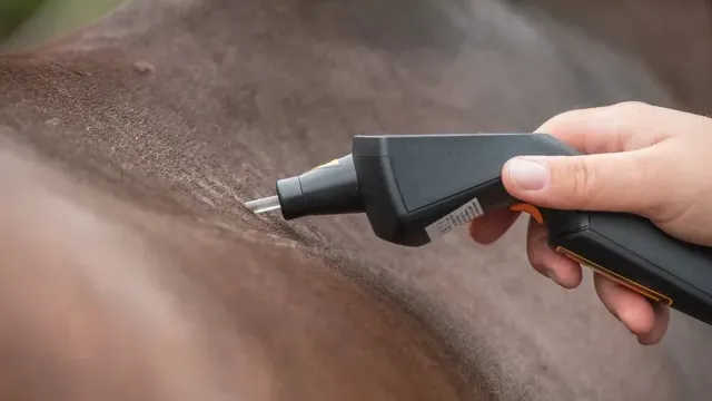 Osteopathie und Physiotherapie Hunde Behandlung Dorsten Einzelbild_phy_2