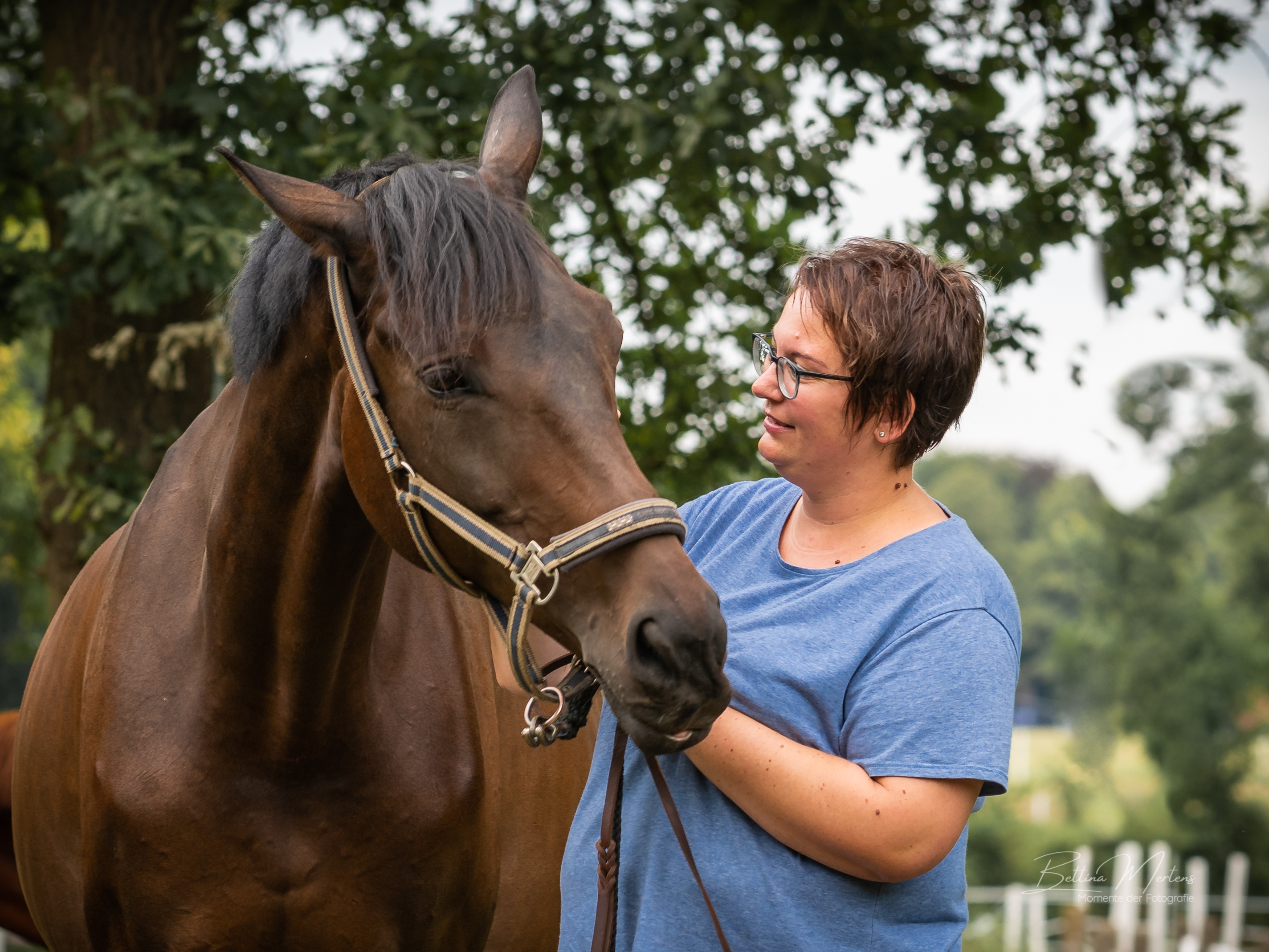 Osteopathie und Physiotherapie Hunde Behandlung Dorsten Einzelbild