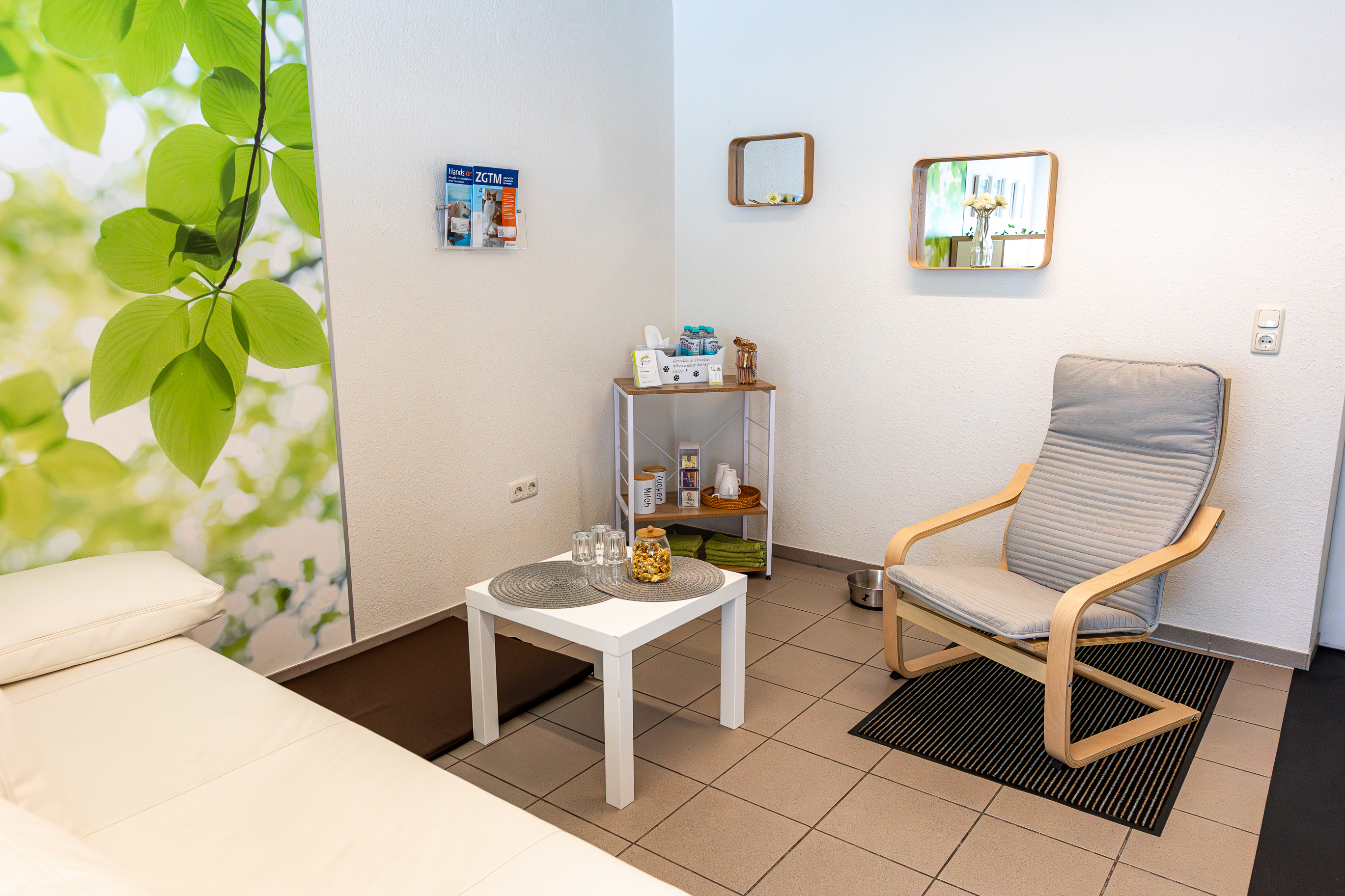 Osteopathie und Physiotherapie Hunde Behandlung Dorsten Bild 2