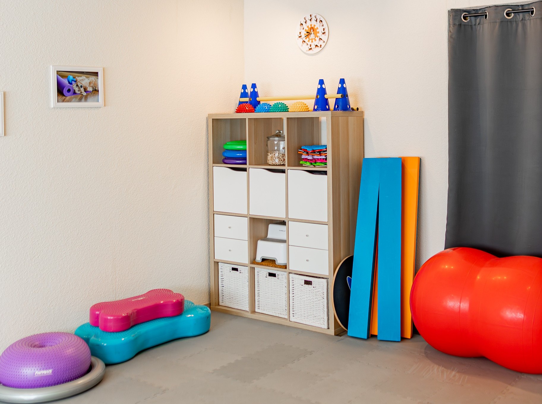 Osteopathie und Physiotherapie Hunde Behandlung Dorsten Bild 4