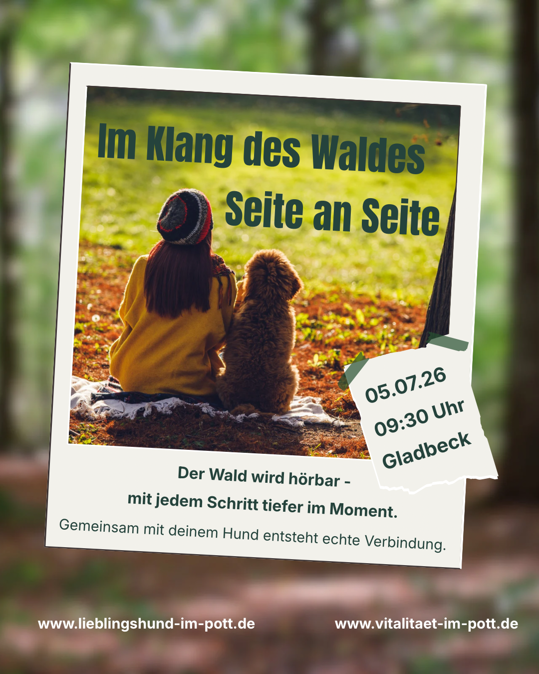 ImKlangDesWaldes