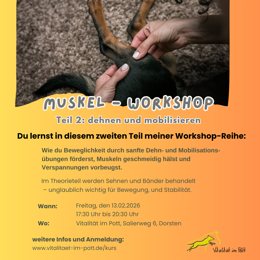 Muskelworkshop2
